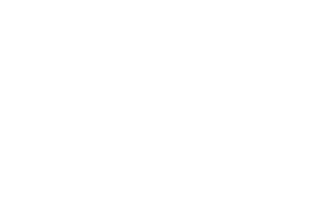 Verizon logo